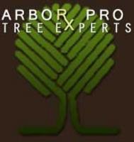 Arbor-Pro Tree Experts image 1